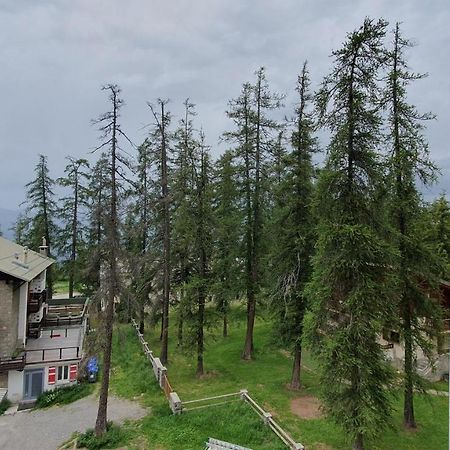 Studio Centre Et Pied Des Pistes 瓦尔堡 外观 照片